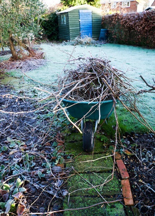 Frosty garden with wheelbarrow and shed