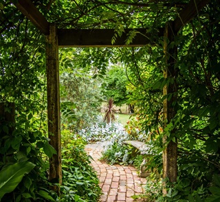 A secret opening to a renovated garden