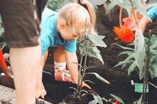 A young girl planting flowers in her garden