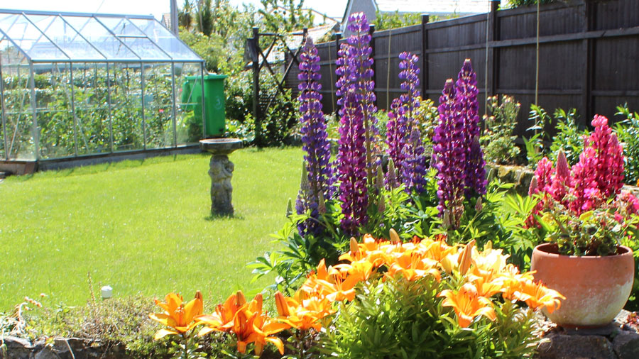 A bright, colourful garden, 3rd place in the Calor Gardens competition 